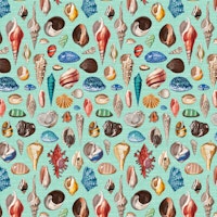 Nautilus multicolor on mint papiers peint