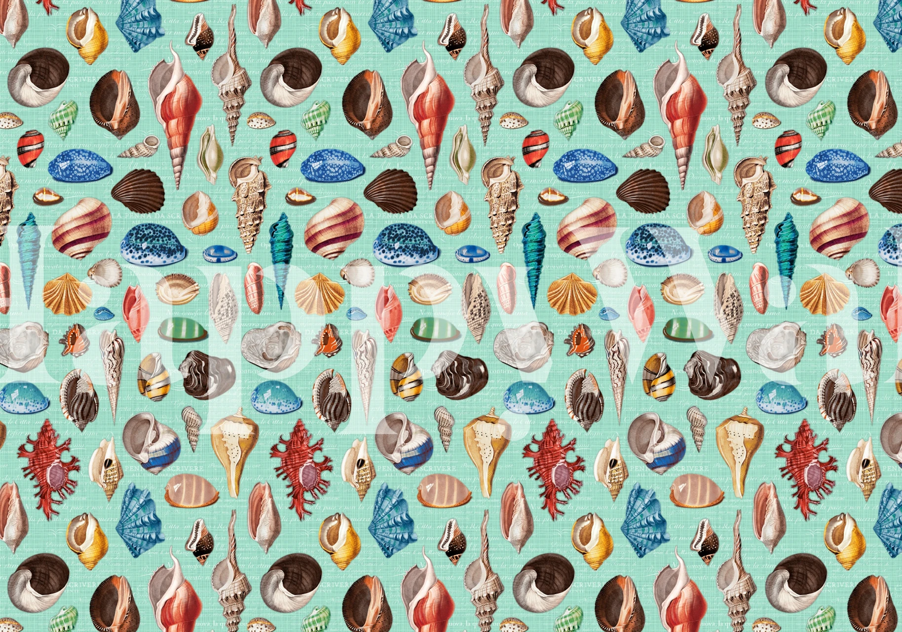 Nautilus multicolor wallpaper dans une pièce