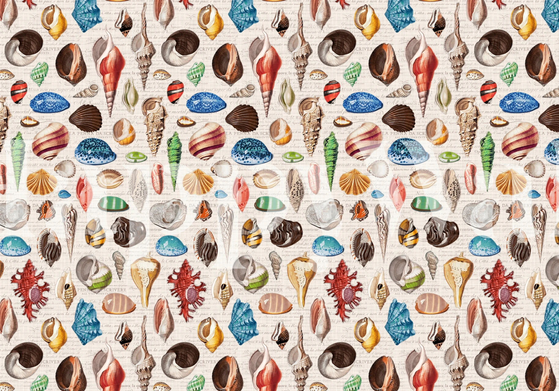 Papel de parede Nautilus multicolor em um quarto