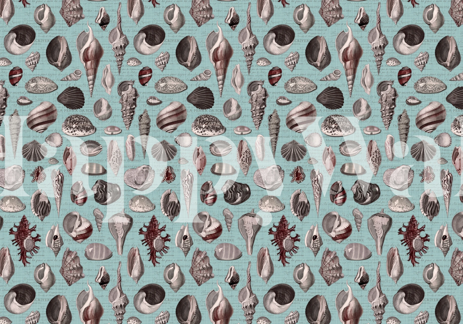Nautical shell pattern in burgundy, grey, and aqua wallpaper