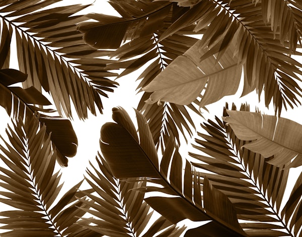 Jungle Leaves 2