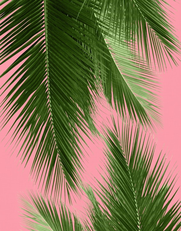 Palm Leaves Vibes 1