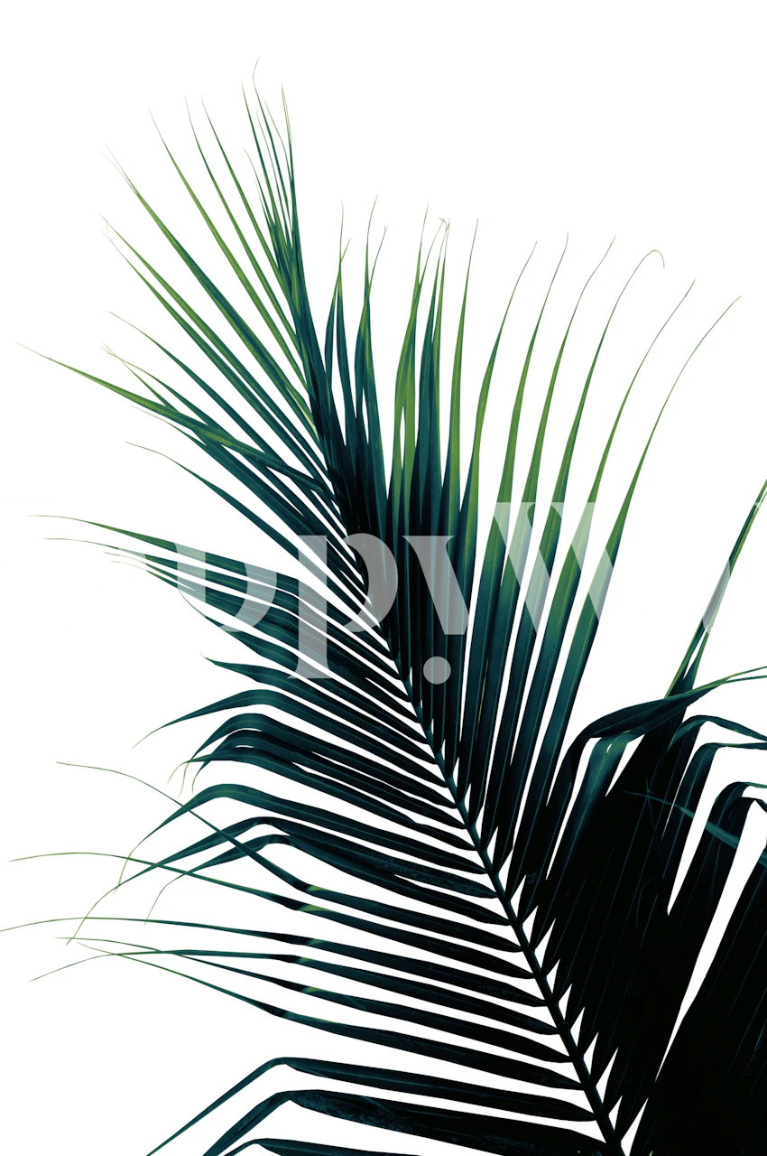 Tapeta Palm Leaf Green Delight u sobi