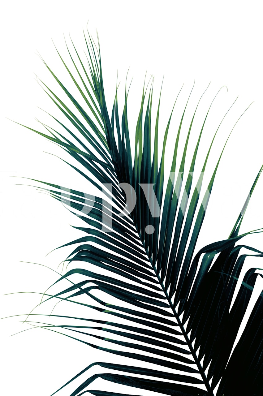 Palm Leaf Green Delight wallpaper in a room