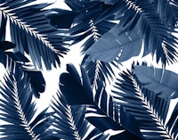 Jungle Leaves Finesse 3a wallpaper