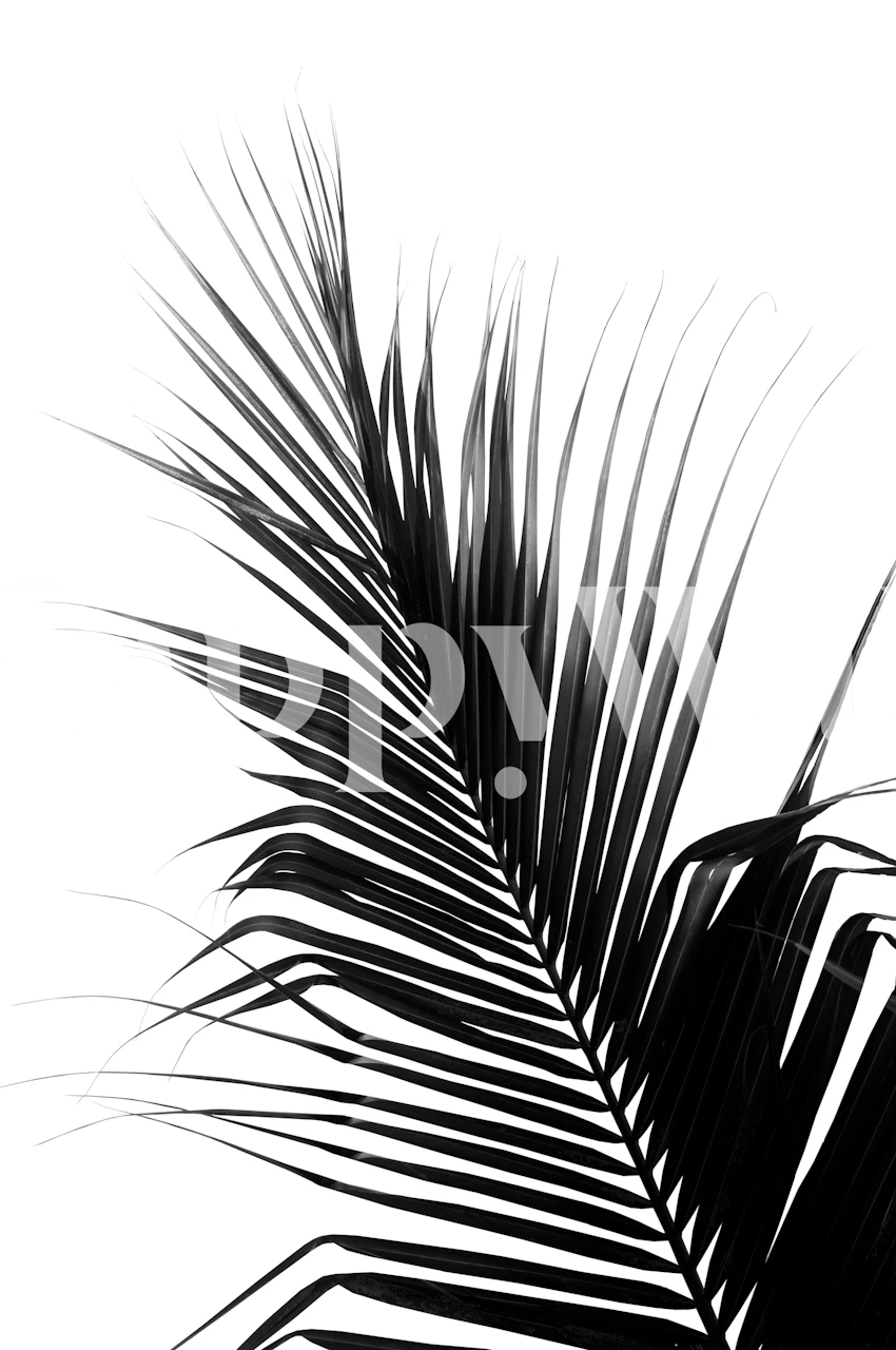 Palm Leaf Delight tapet i et rum