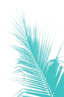 Palm Leaf Turquoise Delight 1 wallpaper