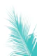 Palm Leaf Turquoise Delight 1