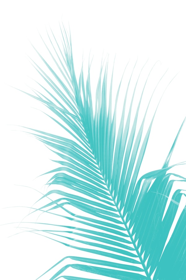 Palm Leaf Turquoise Delight 1