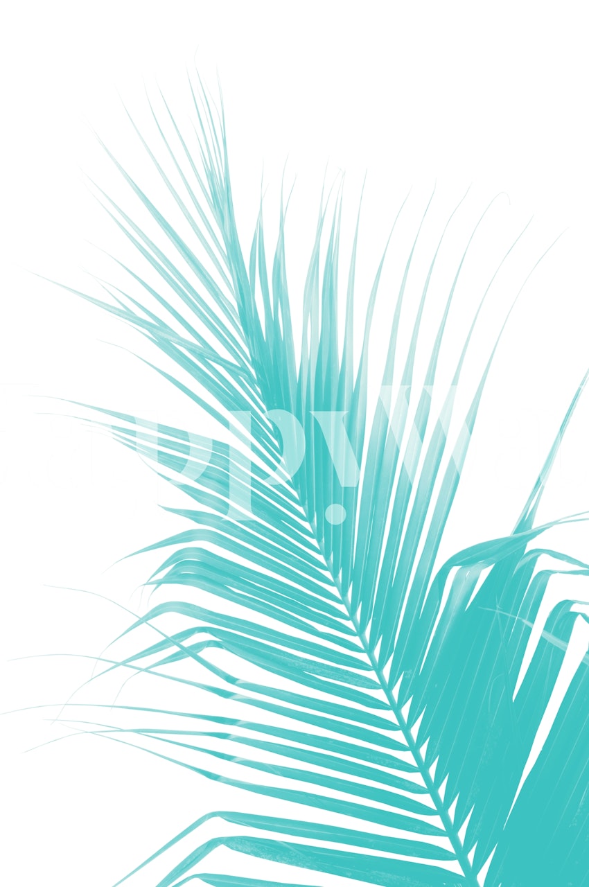 Elegante silhouette di foglia di palma su un murale con sfondo turchese