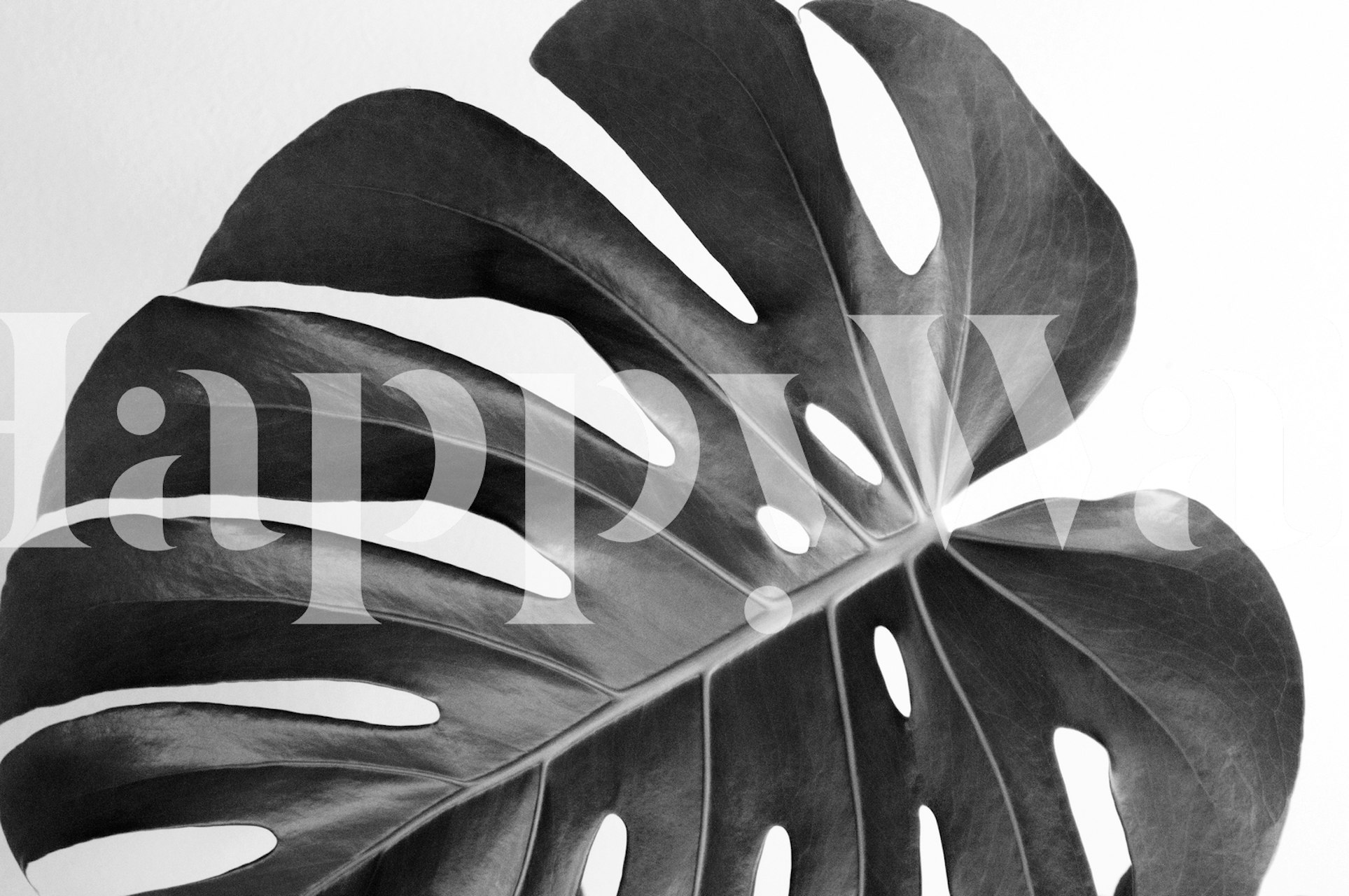 Monstera Leaf 1 wallpaper in a room