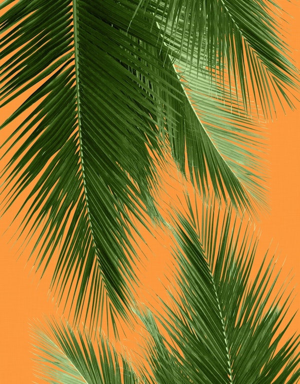 Palm Leaves Vibes 3a