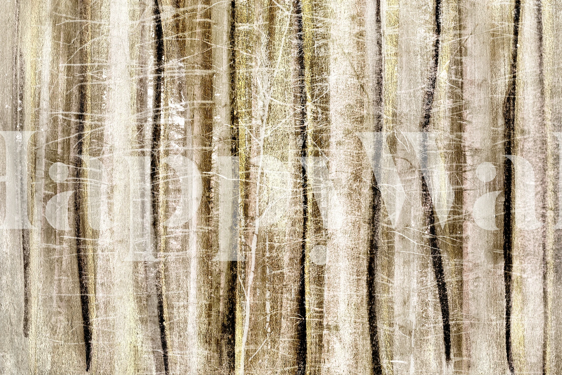 Fotomural de bosque abstracto con juego de luces y sombras