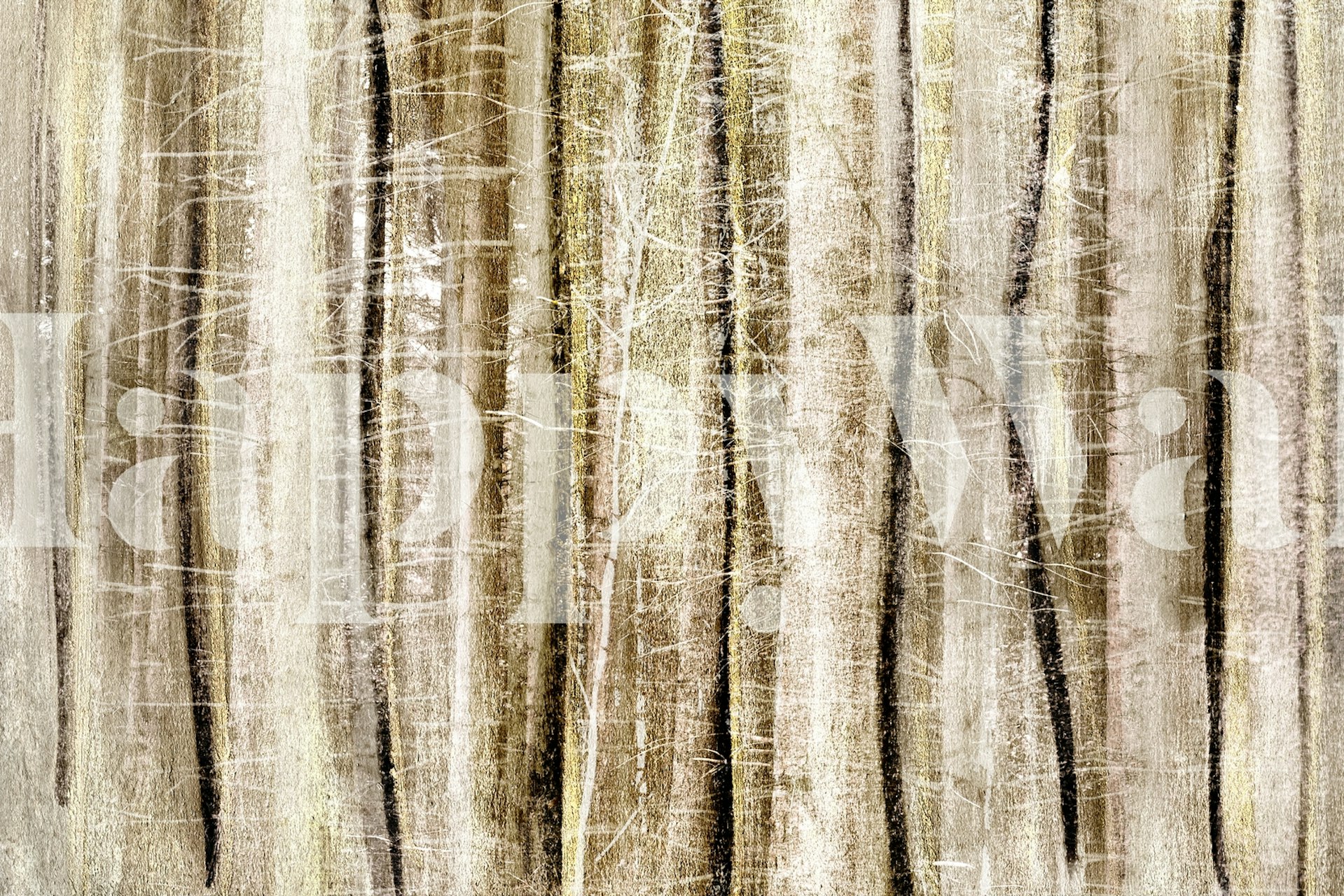 Fototapeta abstraktní les se souhrou světla a stínu