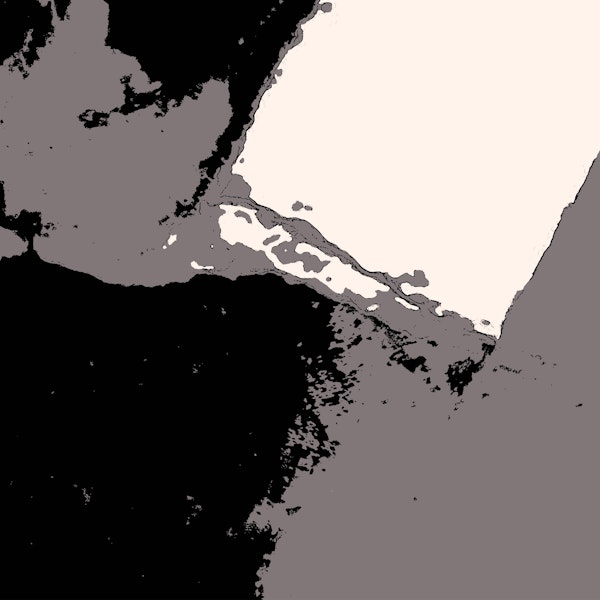 Organic Nr 15 Muted Abstract