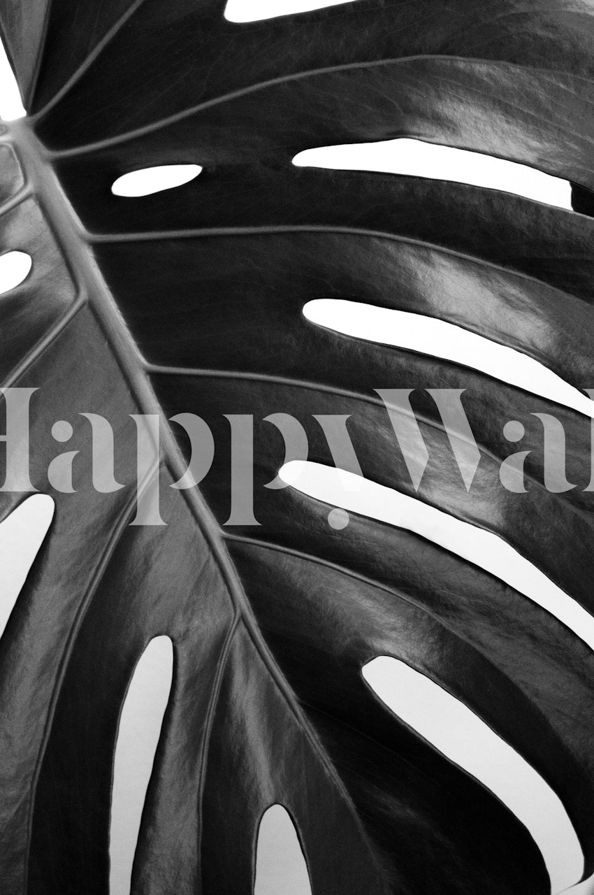 Black and white monstera leaf wall mural bringing nature-inspired decor to your space