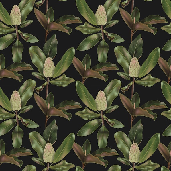 Magnolias green leaves