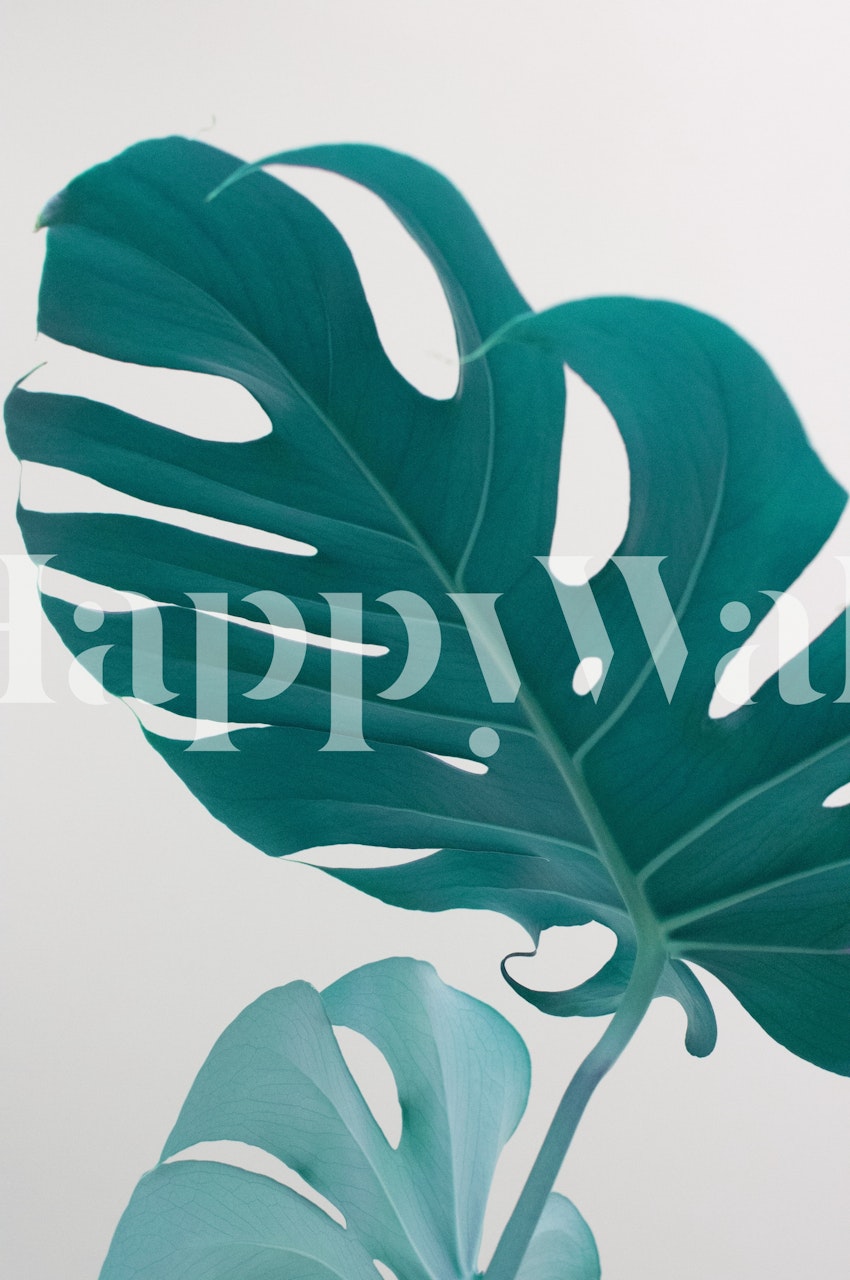 Monstera Leaves Dream 1 papel de parede em um quarto