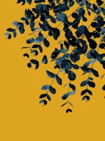 Eucalyptus Fall Delight 1 tapete