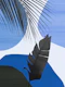 Tropical Banana Leaf 4