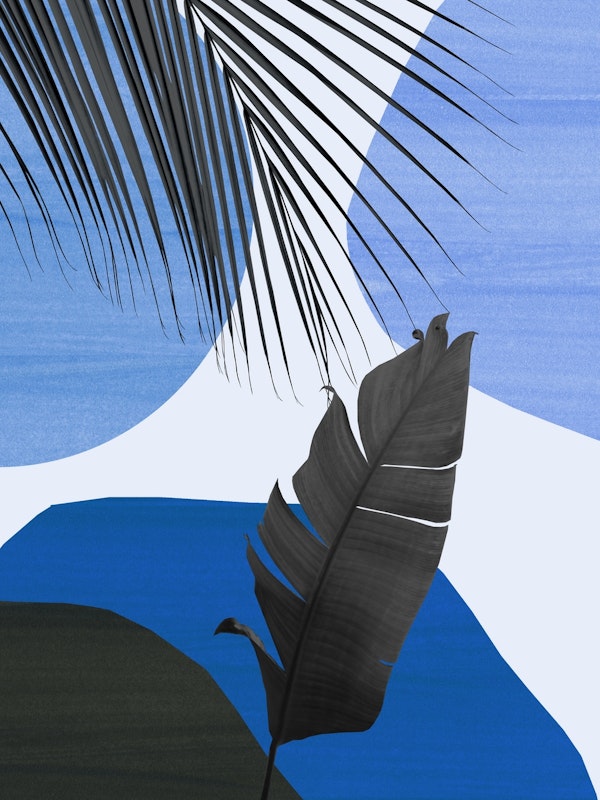 Tropical Banana Leaf 4