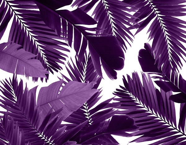 Jungle Leaves Finesse 5