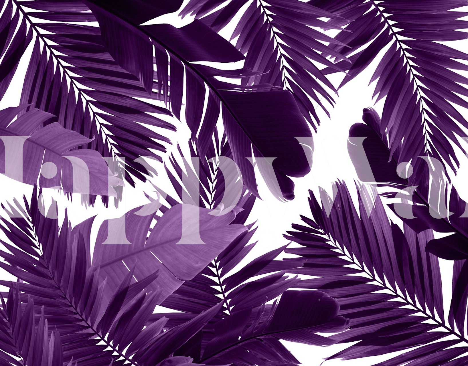 Tropical leaves in shades of purple on a white background wallpaper