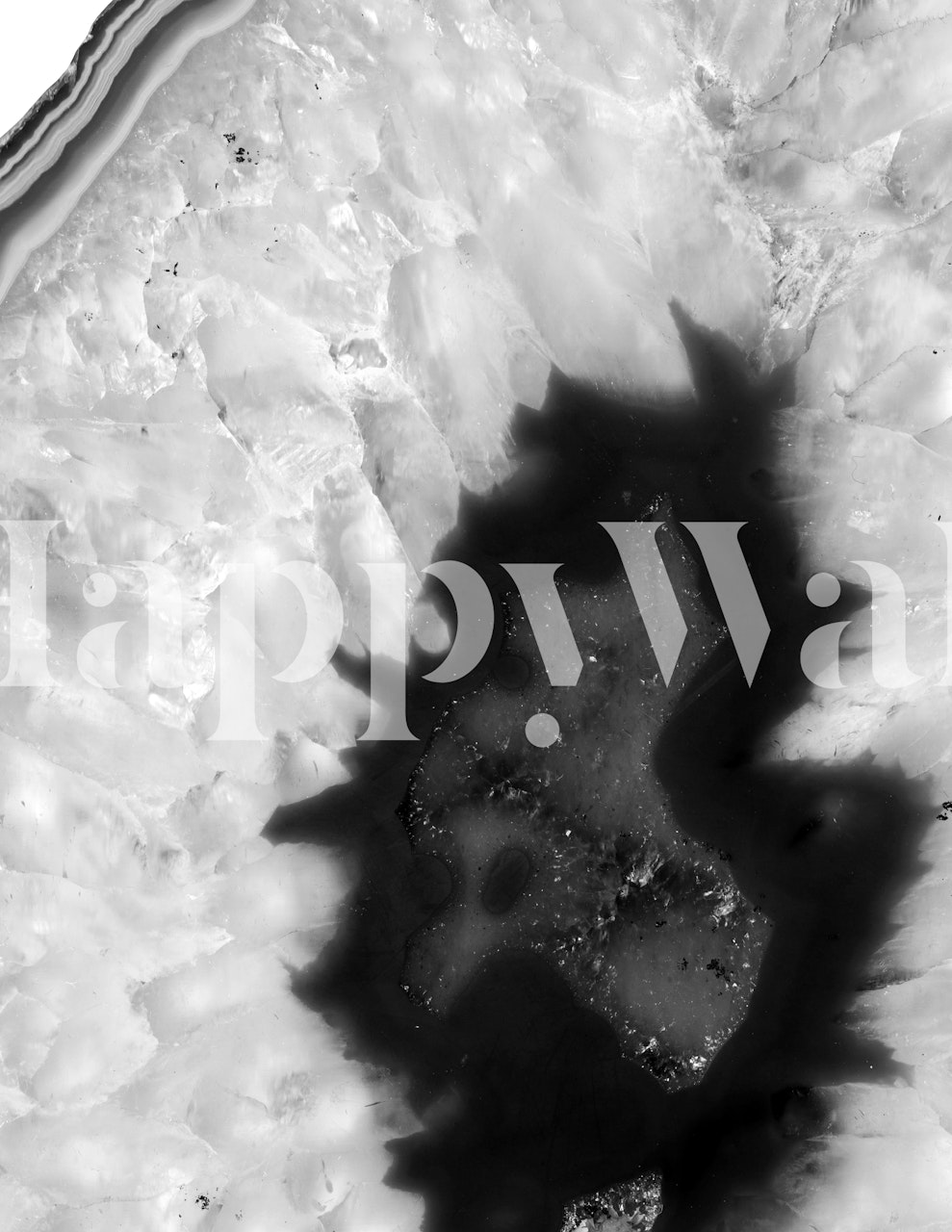 Agate stone pattern wall mural in grayscale