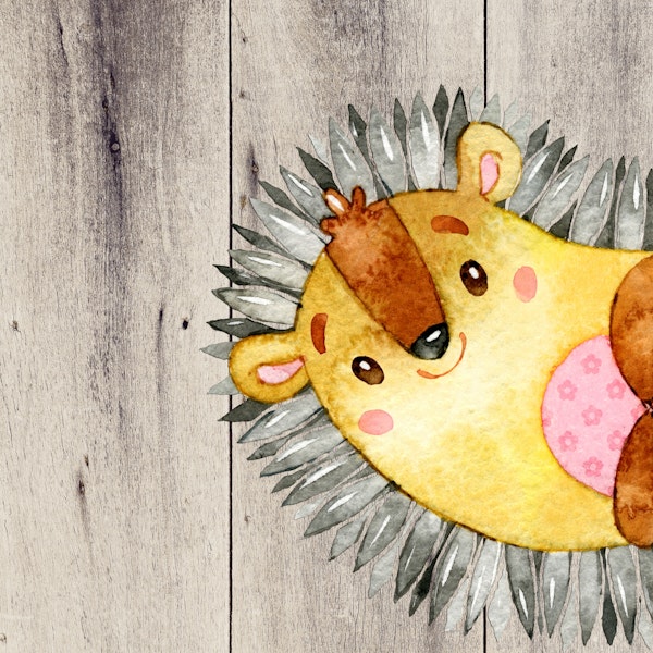 Woodland Friends- Hedgehog