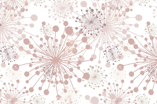 Dandelions white blush beige