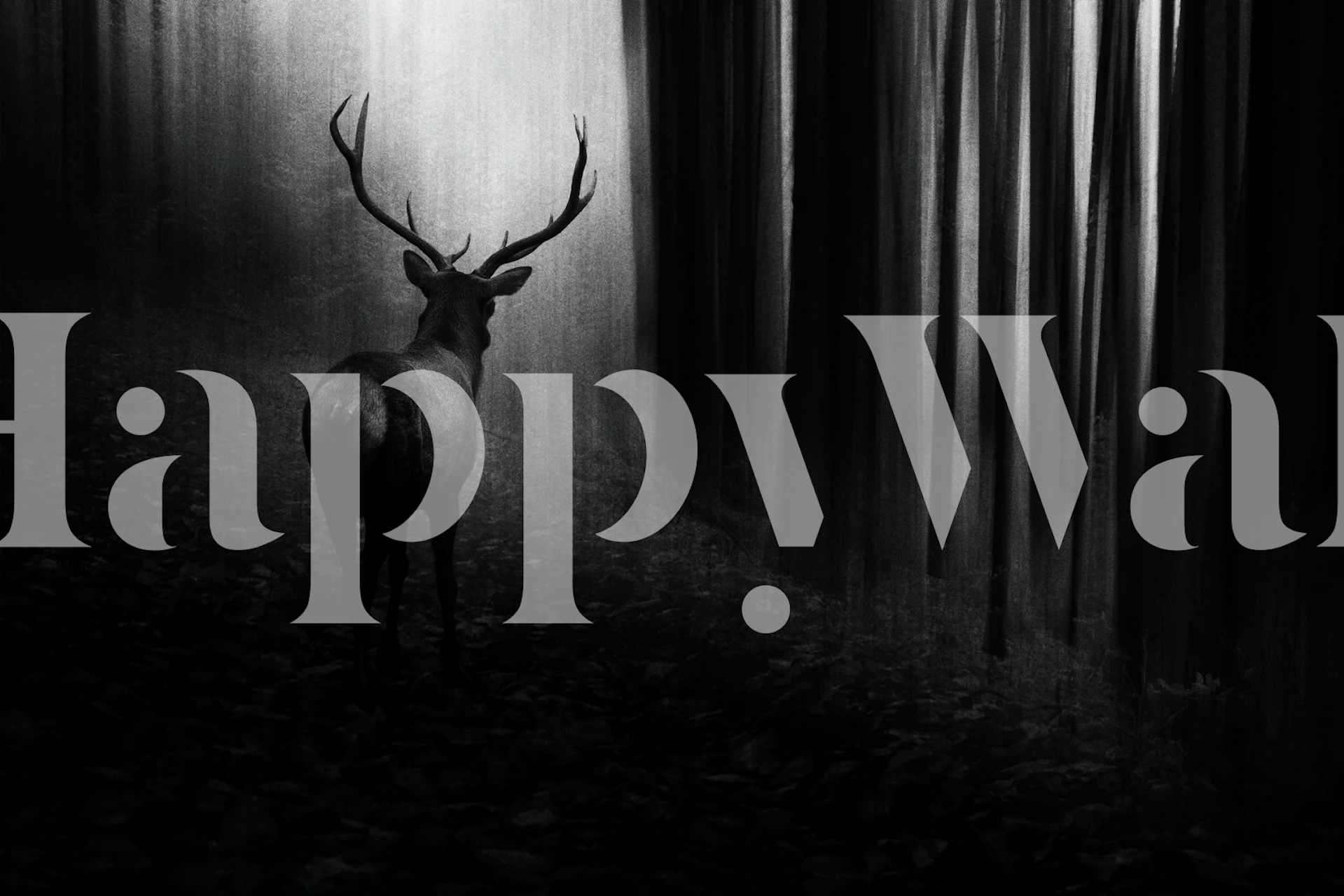 Stag in a misty forest wall mural for home decor