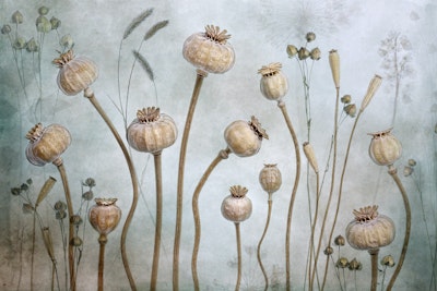 Mural
