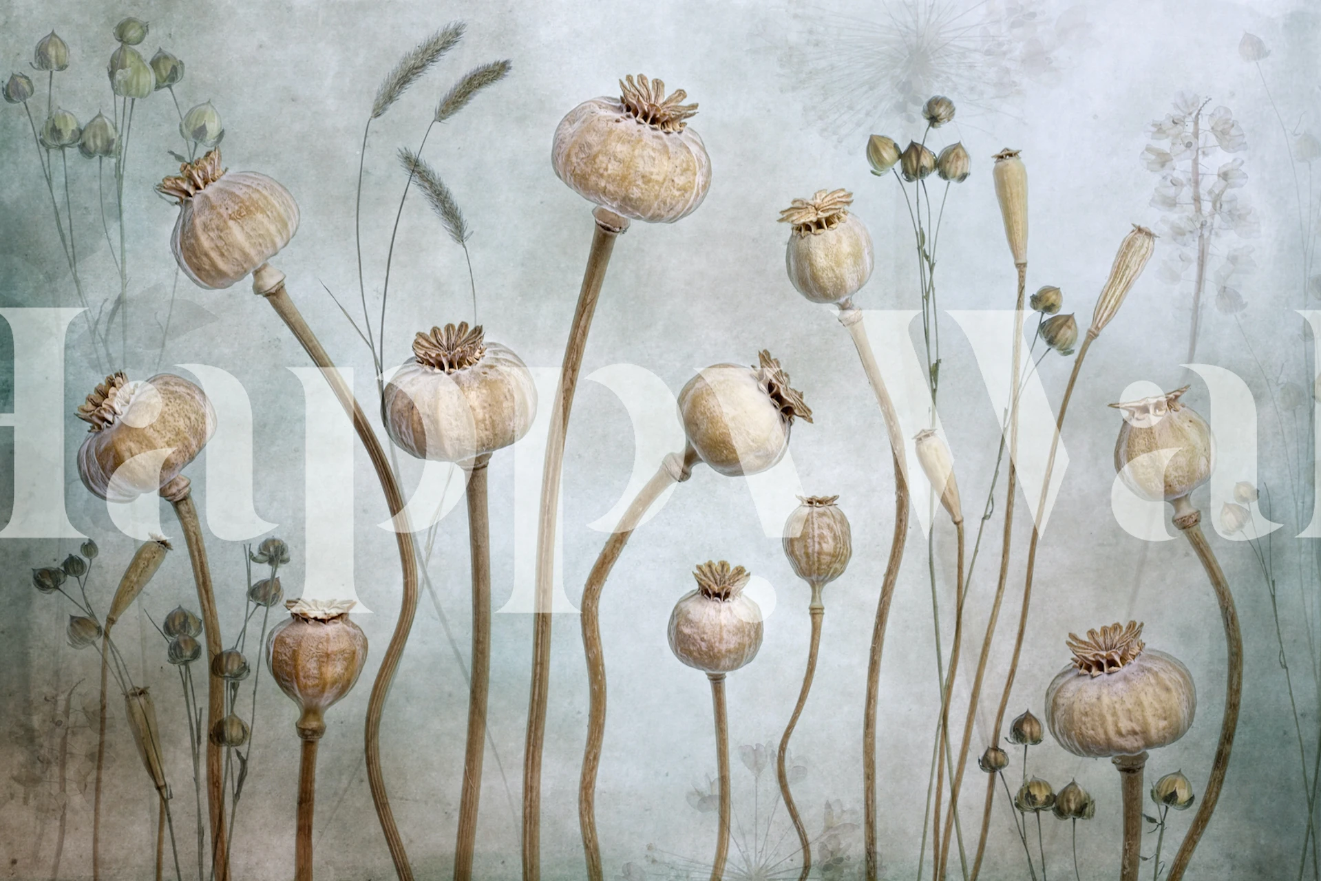 Floral poppy wallpaper in beige and green tones