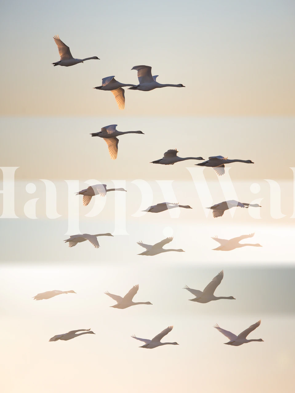 Carta da parati Past the sun in un ambiente tranquillo