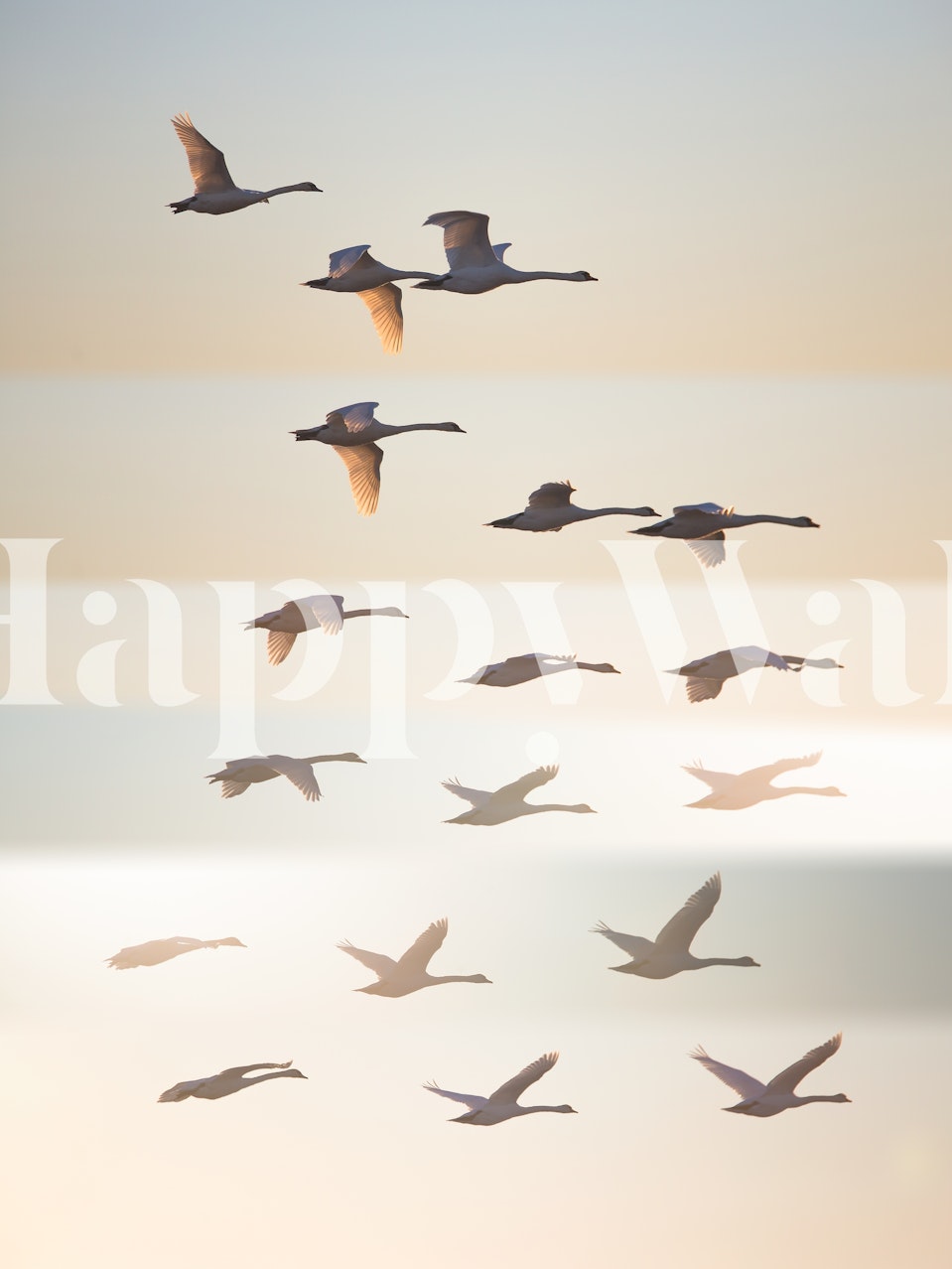 Past the sun Tapete in einem ruhigen Raum