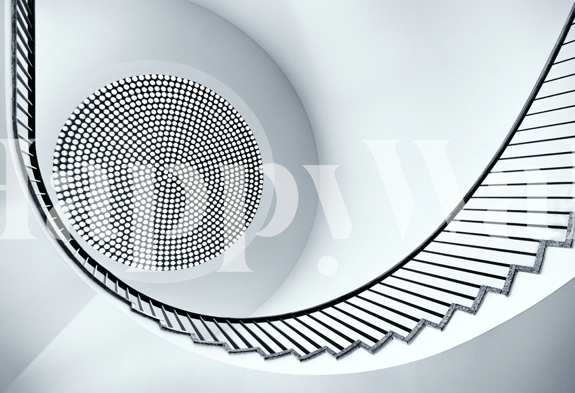 Spiral staircase design in black and white wallpaper