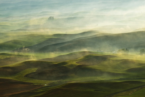 Golden Morning Palouse