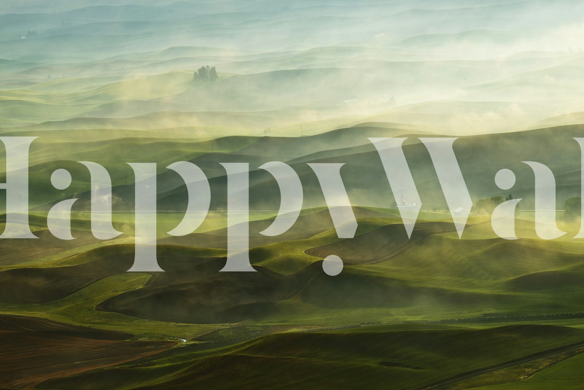 Fototapeta zobrazující východ slunce nad zvlněnými kopci Palouse se zlatým světlem a stíny