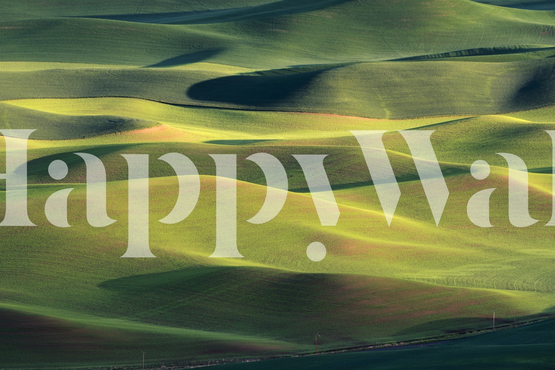 Papel pintado Dream Land en un entorno de habitación