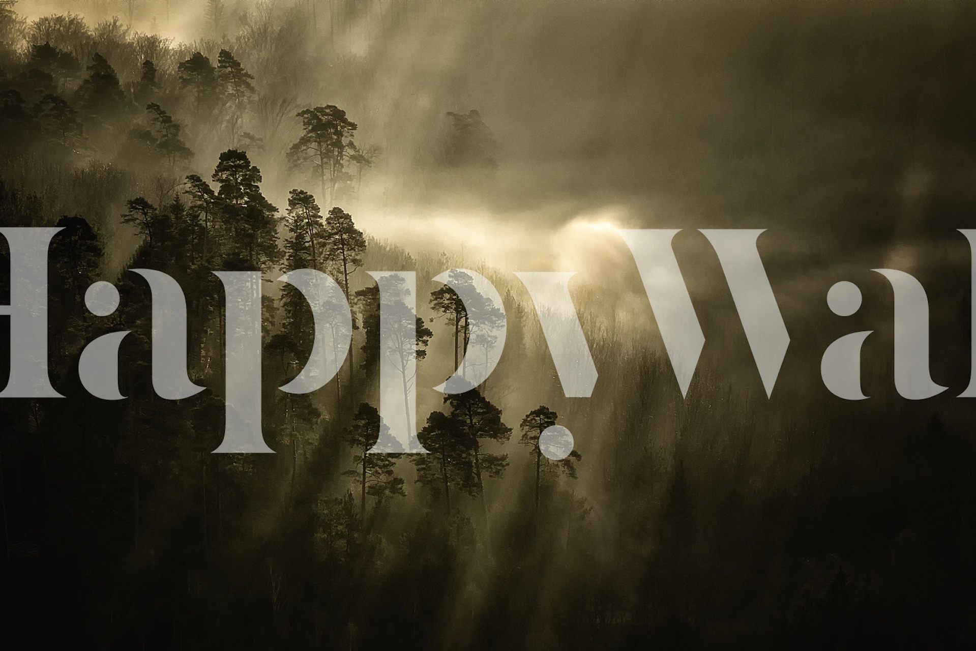 Streiflichter wallpaper in a room setting