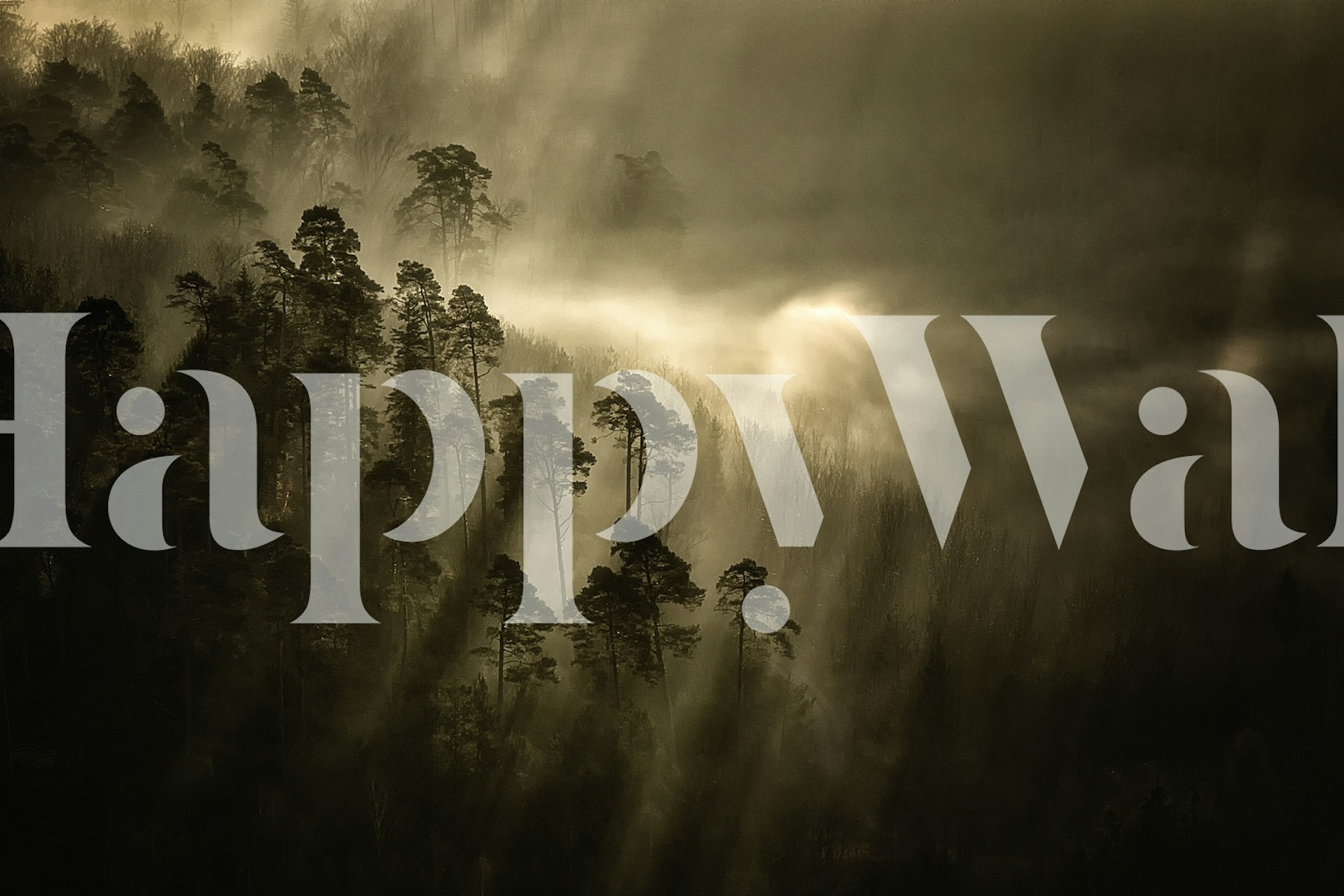 Streiflichter wallpaper in a room setting