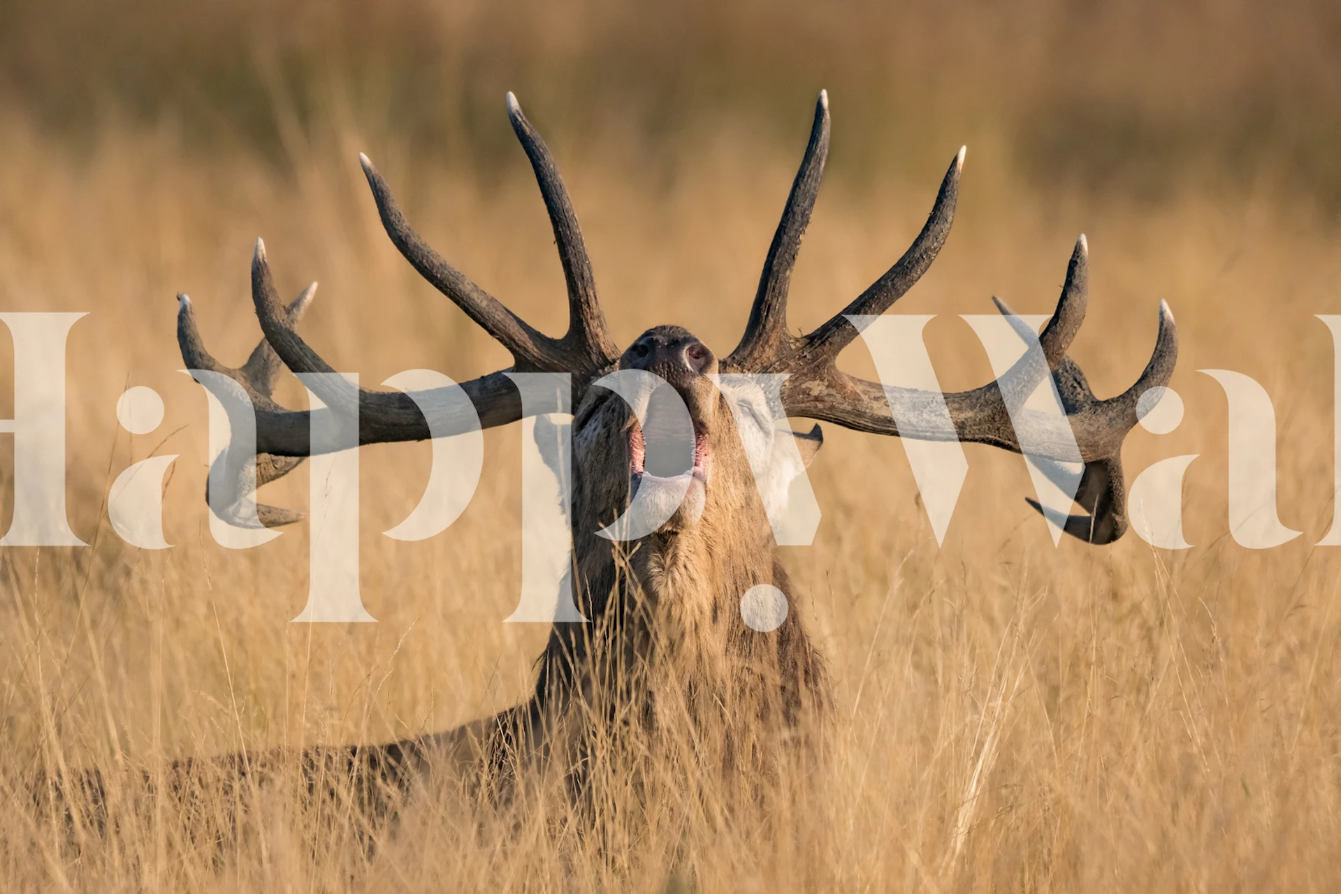 Design della carta da parati con cervo maestoso in una stanza