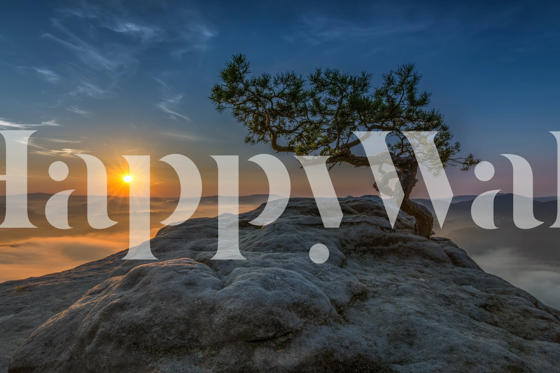 Design de papier peint Old Pine dans une pièce