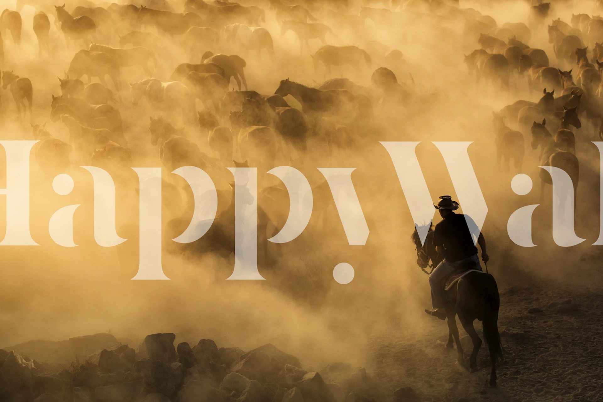 Cappadocia wild horses tapet i ett rum