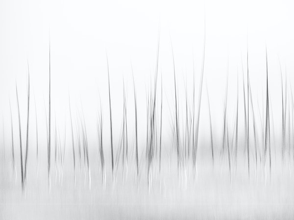 Wintry scenery in Yellowstone