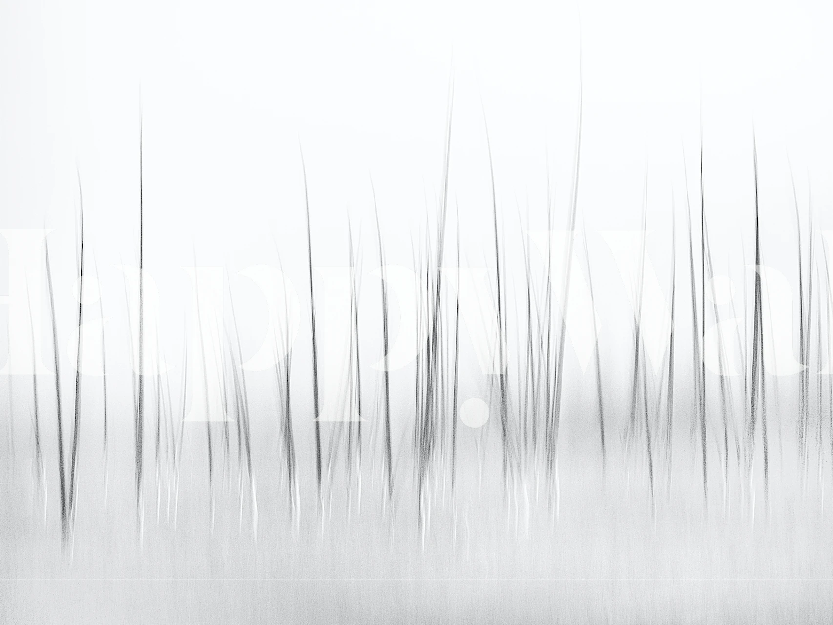 Abstract depiction of grass in black and white wallpaper