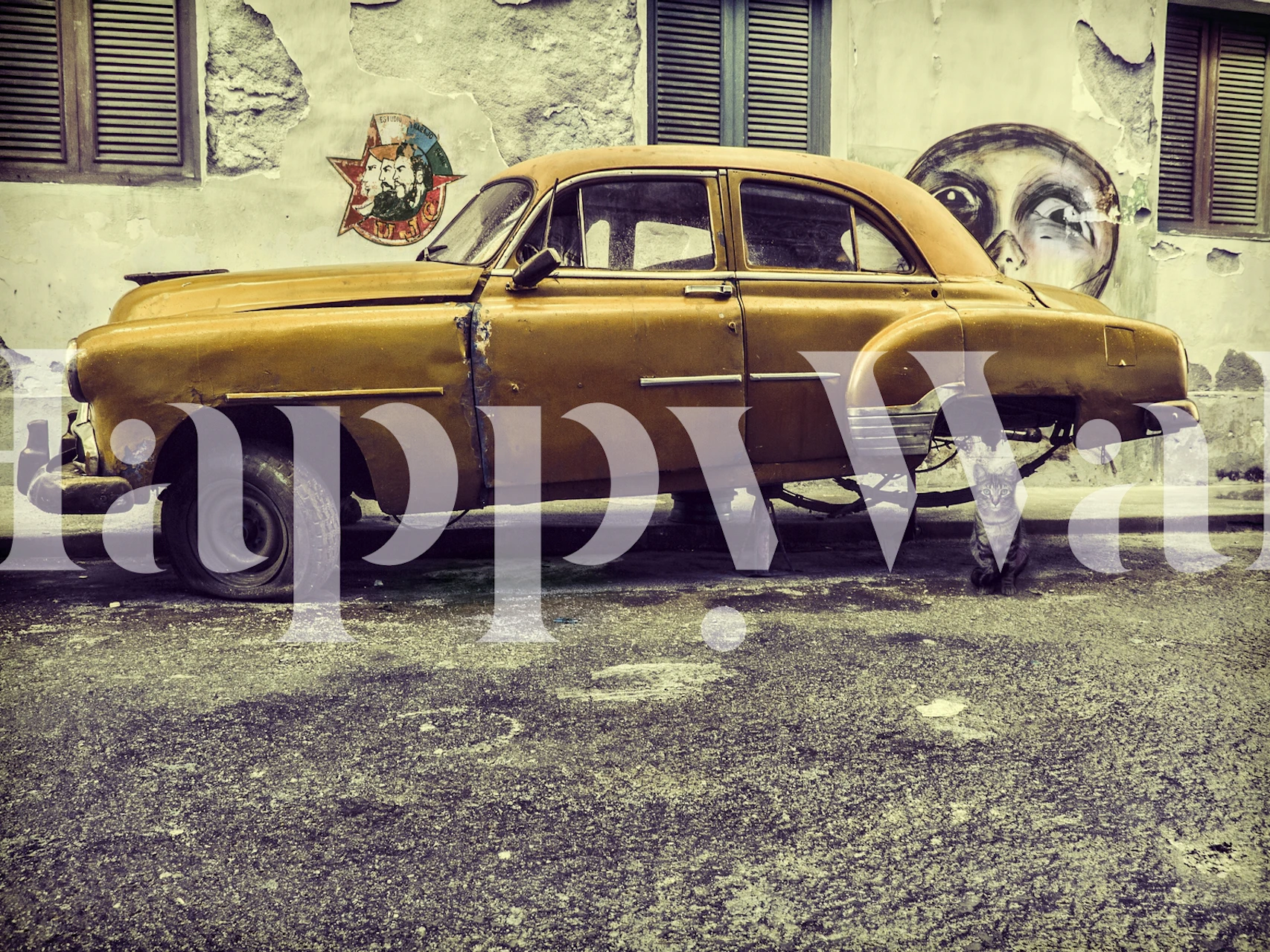 Old yellow car and gray cat on the street wallpaper