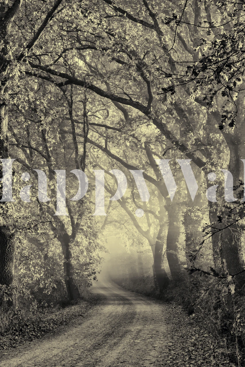 Tuscan Dream Alley wallpaper in a room