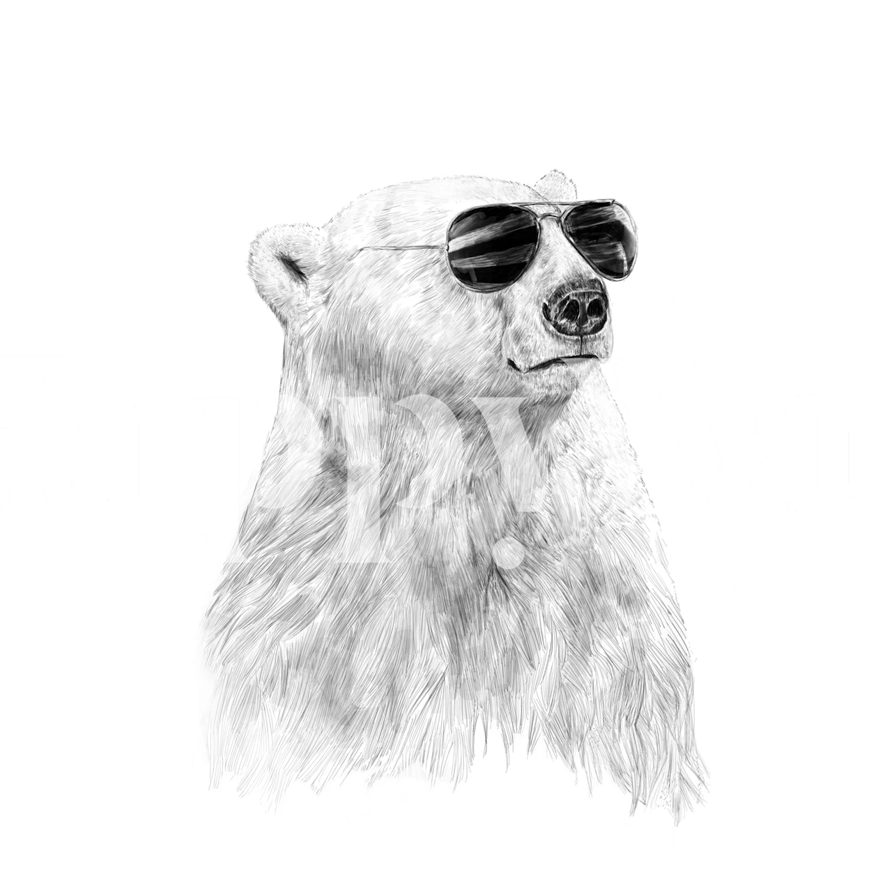 Ilustração de mural de parede Urso com óculos de sol