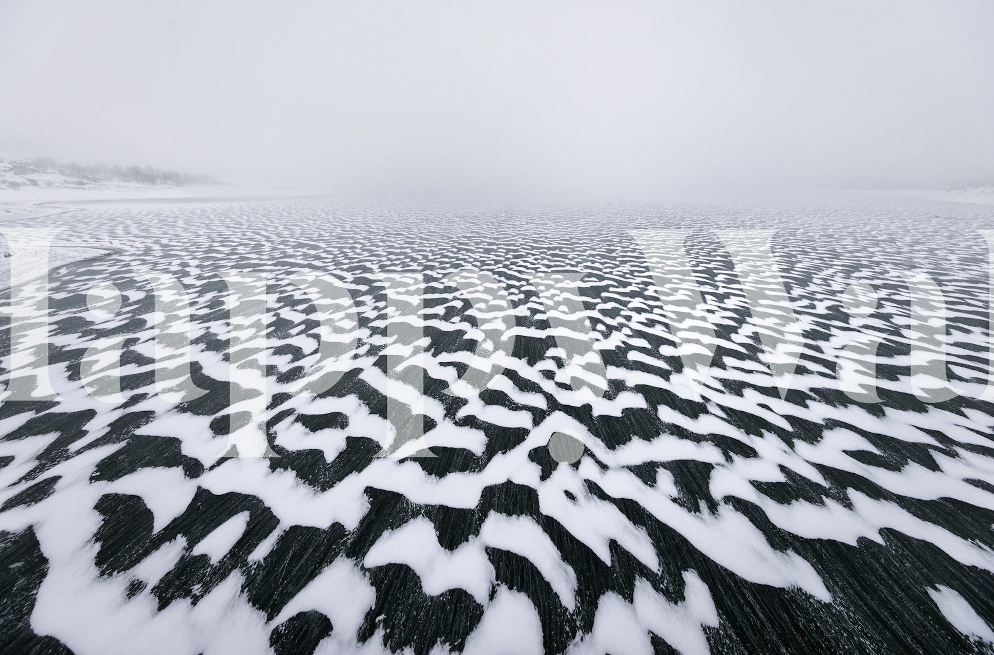 Camouflage lake wallpaper in a room